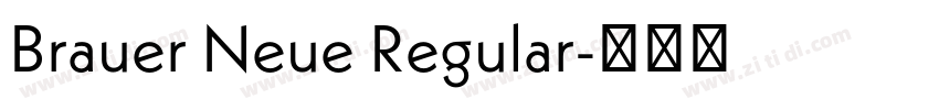 Brauer Neue Regular字体转换